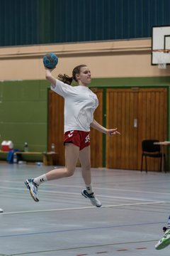Bild 154 - Damen HSG Kremperheide/M�nsterdorf - Suchsdorfer SV : Ergebnis: 39:22